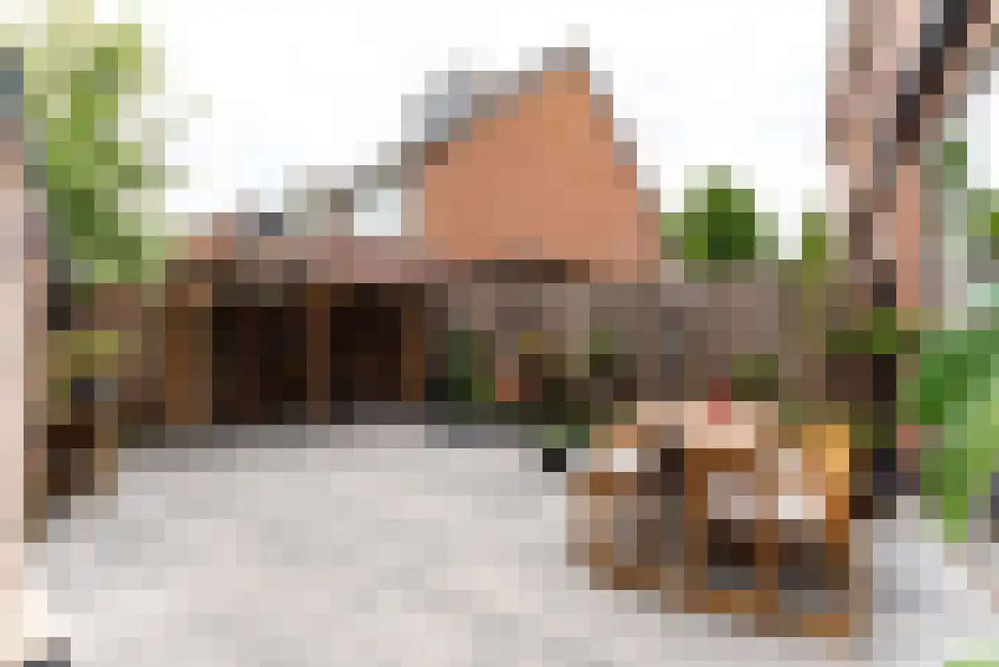 Crosestein 1504 Zeist thumbnail 12