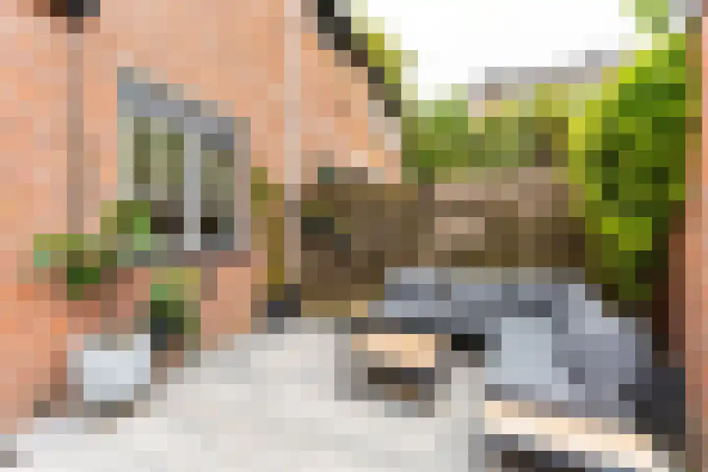 Crosestein 1504 Zeist thumbnail 13