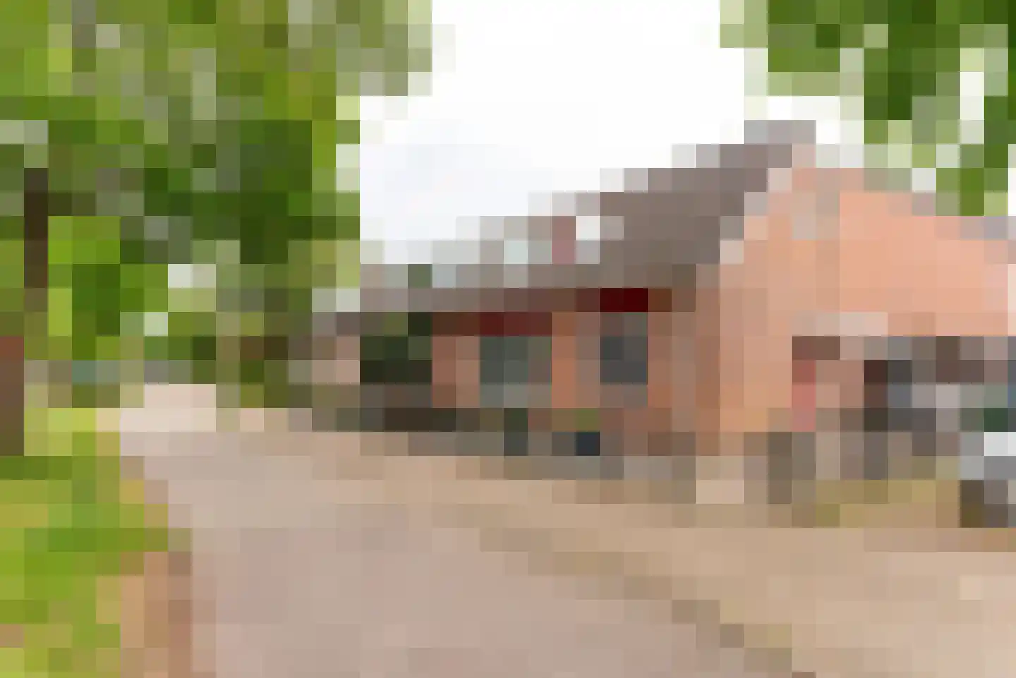 Crosestein 1504 Zeist thumbnail 25