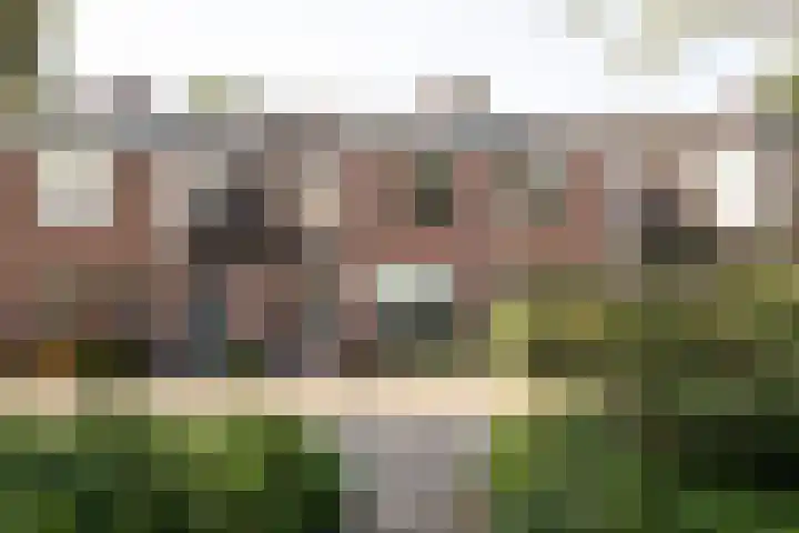 Crosestein 1505 Zeist thumbnail 30