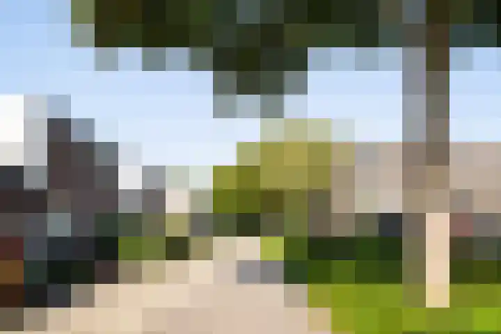 Crosestein 1505 Zeist thumbnail 31
