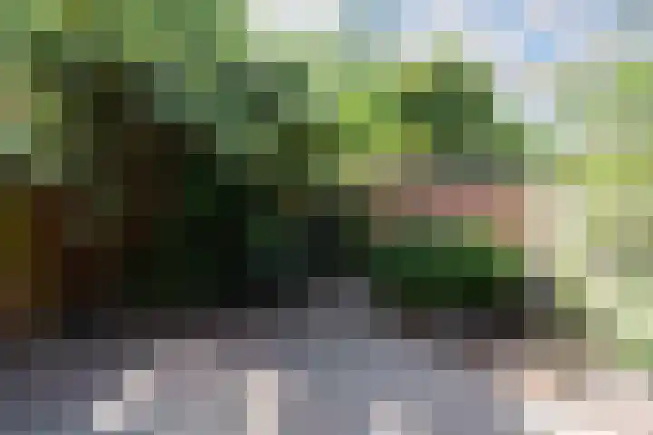 Crosestein 1506 Zeist thumbnail 19