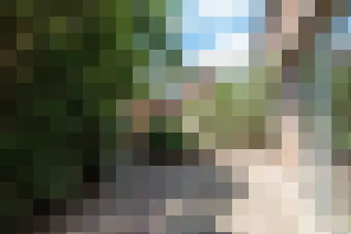 Crosestein 1506 Zeist thumbnail 20
