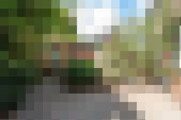 Crosestein 1506 Zeist thumbnail 21