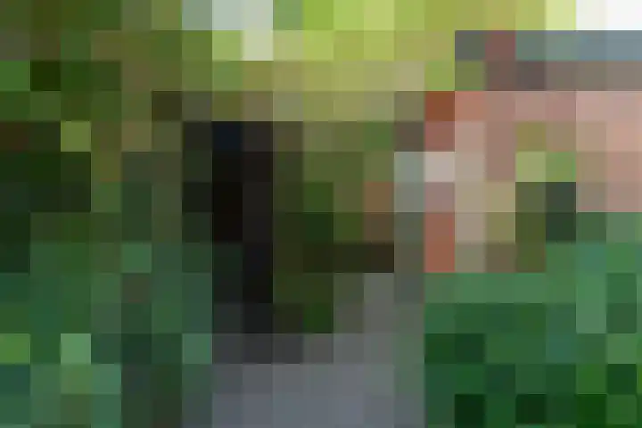 Crosestein 1506 Zeist thumbnail 23