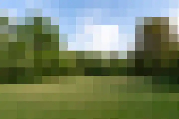 Crosestein 1506 Zeist thumbnail 43