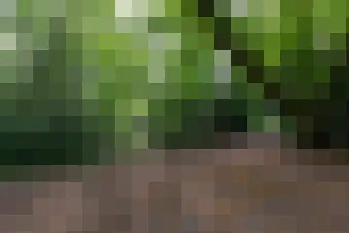 Crosestein 1506 Zeist thumbnail 44