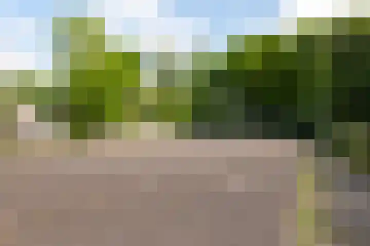 Crosestein 1506 Zeist thumbnail 45