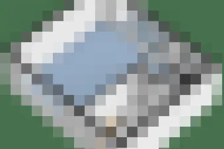 Crosestein 1506 Zeist thumbnail 47