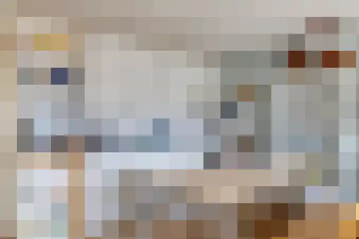 Crosestein 2014 Zeist thumbnail 10