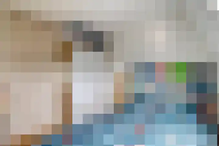 Crosestein 2014 Zeist thumbnail 16