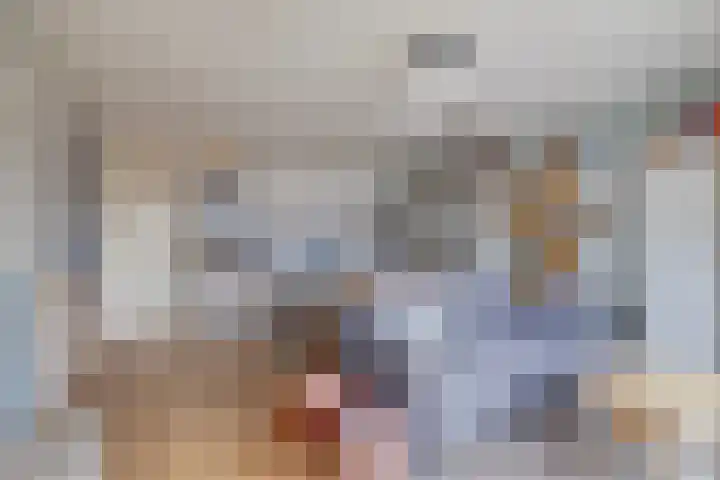 Crosestein 2014 Zeist thumbnail 5