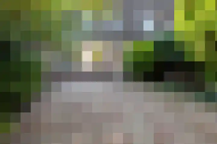 Crosestein 2017 Zeist thumbnail 24