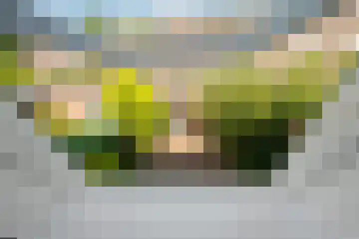 Crosestein 2017 Zeist thumbnail 25