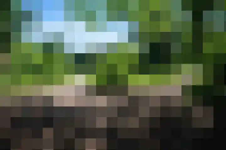 Crosestein 2017 Zeist thumbnail 26