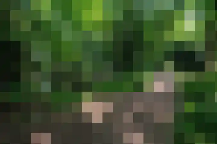 Crosestein 2017 Zeist thumbnail 27
