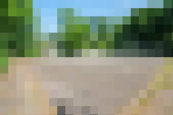 Crosestein 2017 Zeist thumbnail 28