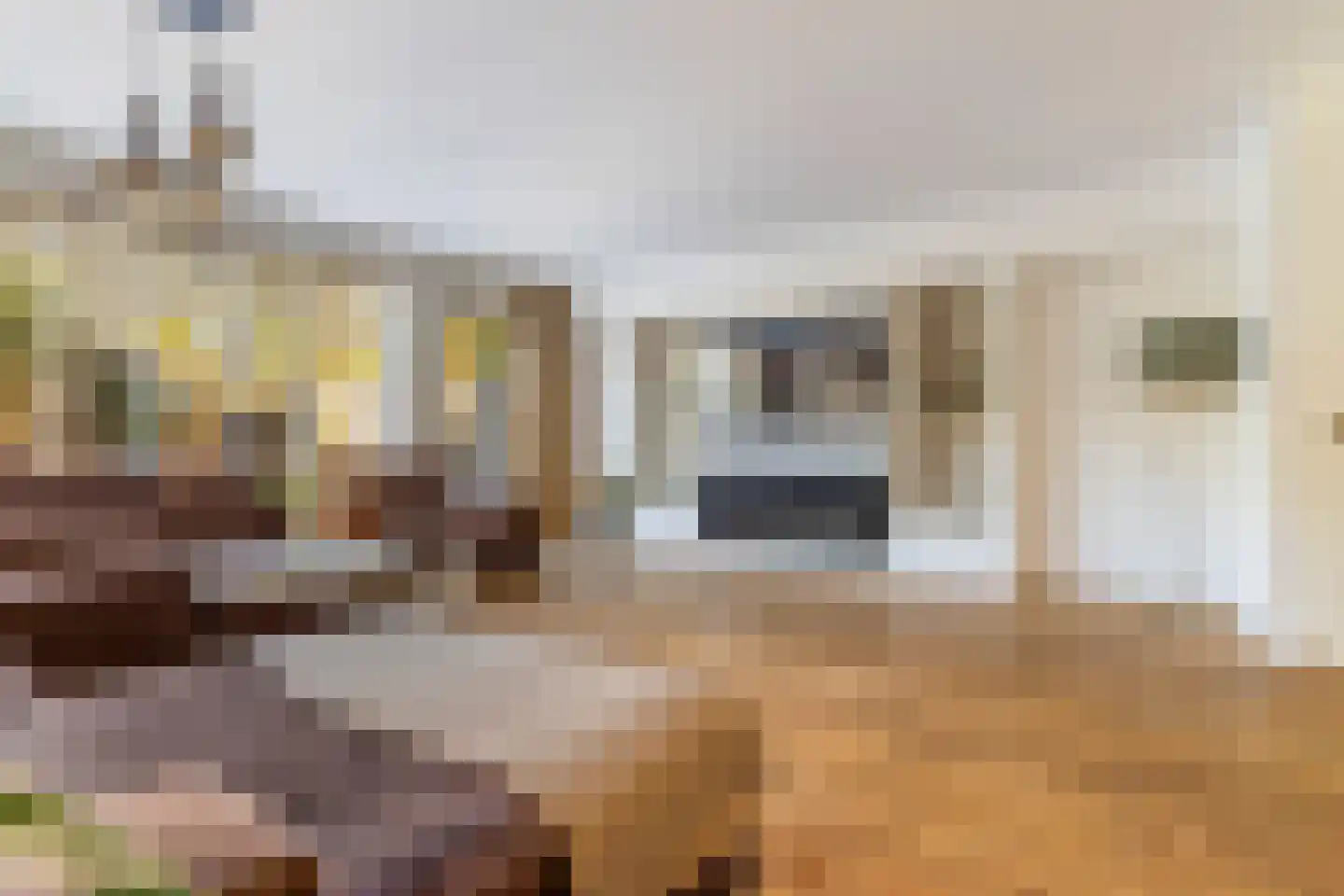 Crosestein 2021 Zeist thumbnail 11