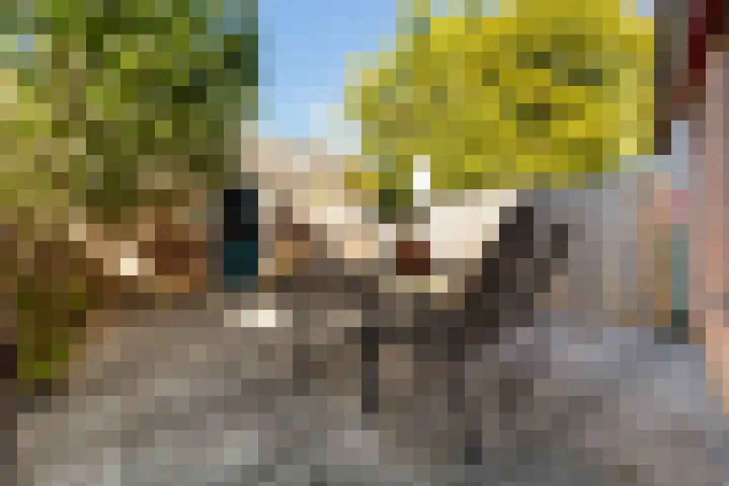 Crosestein 2021 Zeist thumbnail 29