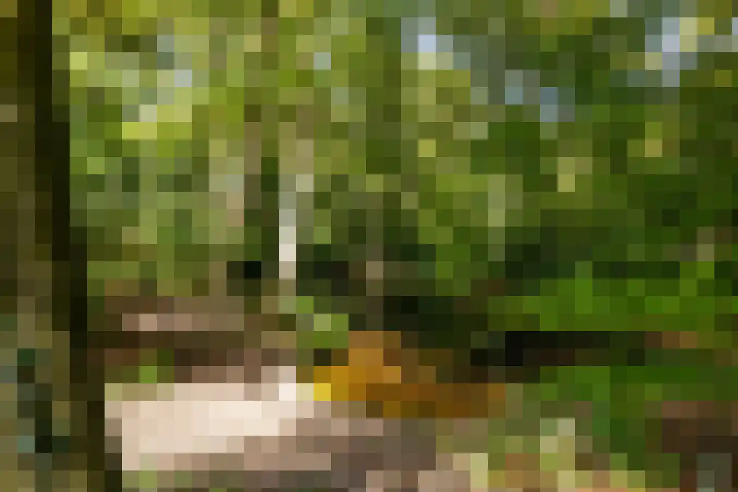 Crosestein 2021 Zeist thumbnail 34