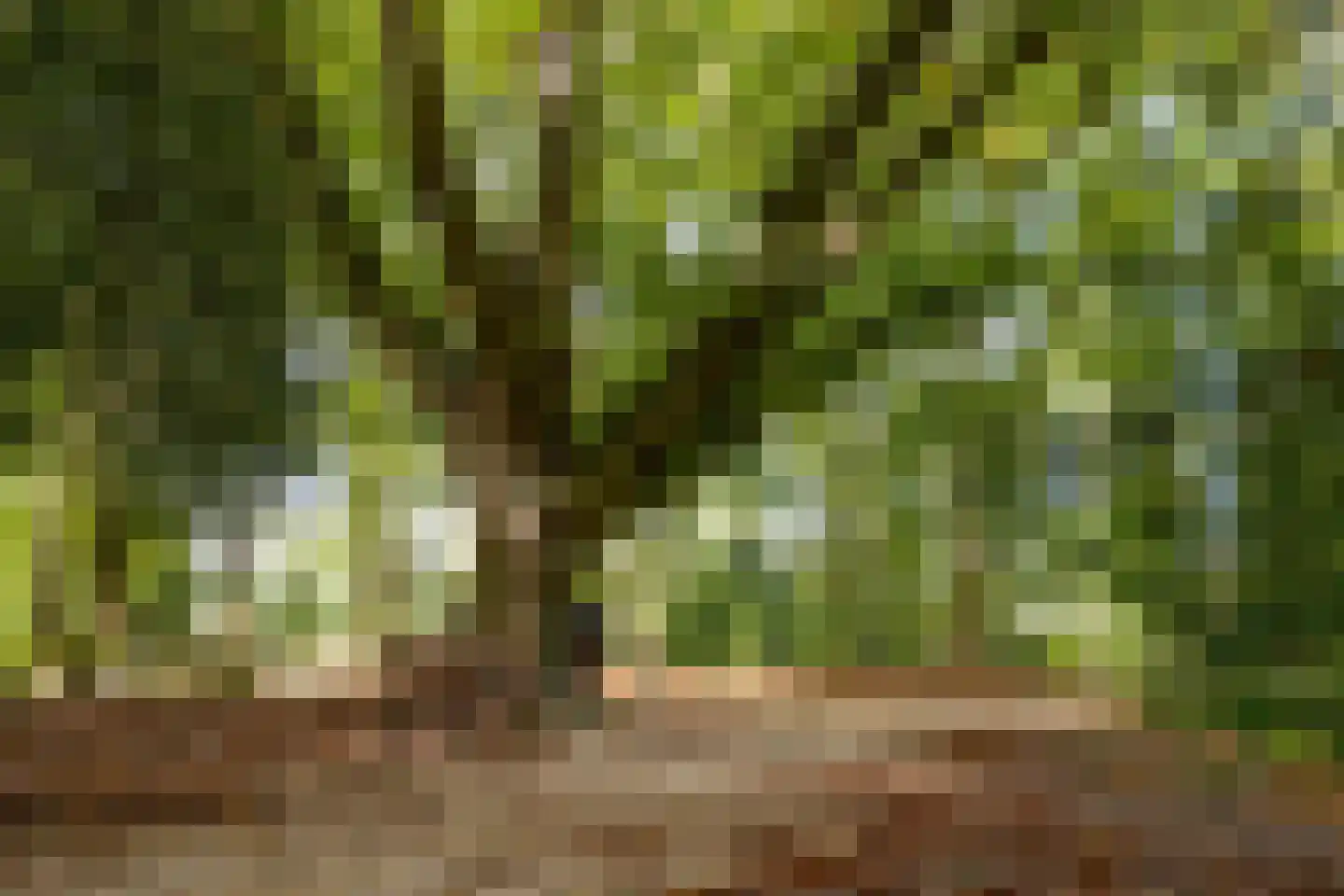 Crosestein 2021 Zeist thumbnail 35