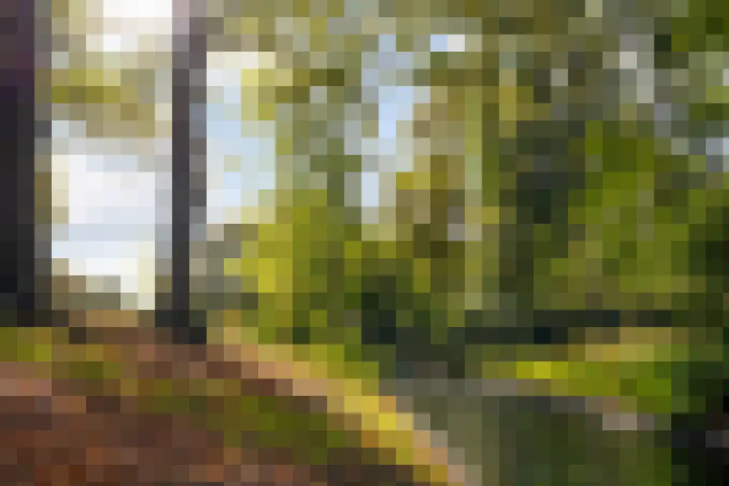 Crosestein 2021 Zeist thumbnail 36
