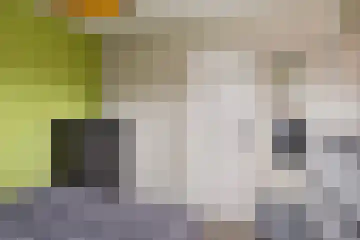 Crosestein 2023 Zeist thumbnail 10