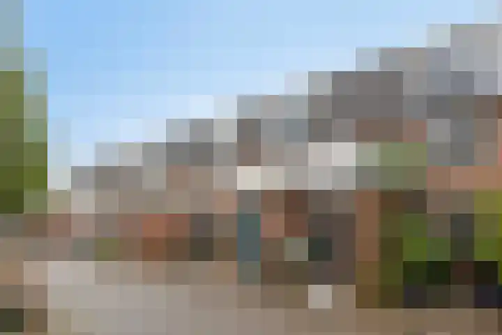 Crosestein 2023 Zeist thumbnail 17
