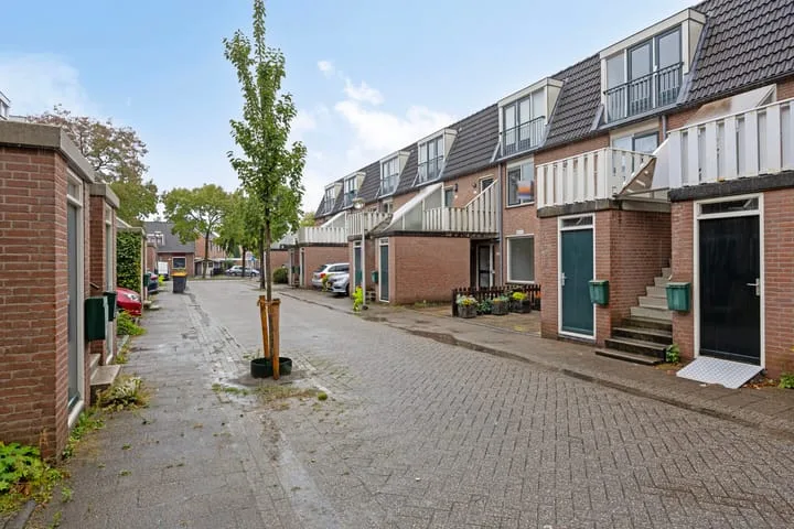 Crosestein 2023 Zeist thumbnail 14
