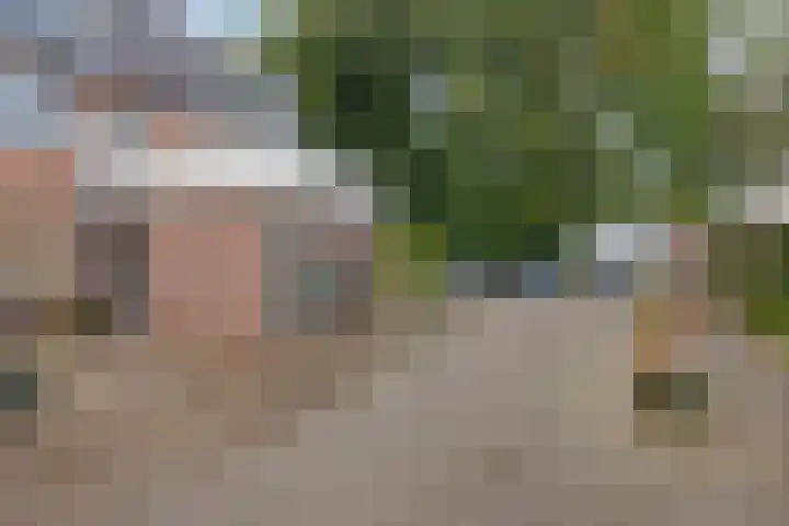 Crosestein 2023 Zeist thumbnail 19