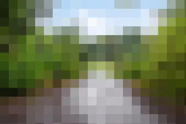 Crosestein 2023 Zeist thumbnail 20