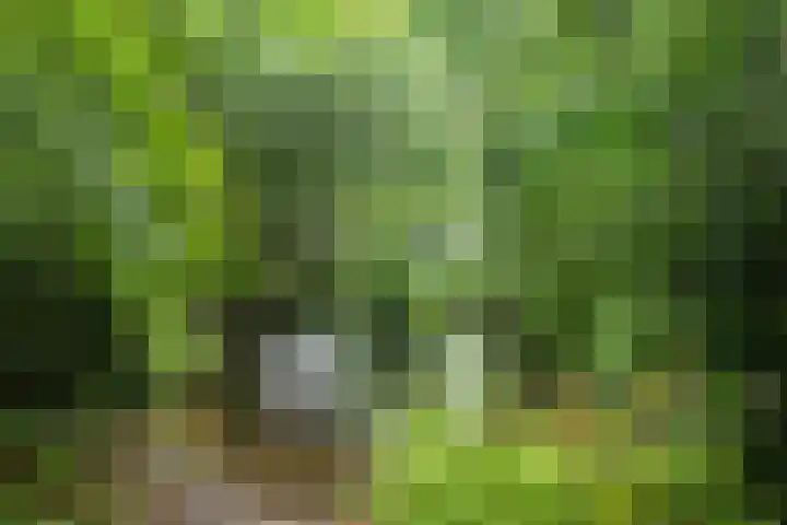 Crosestein 2023 Zeist thumbnail 21