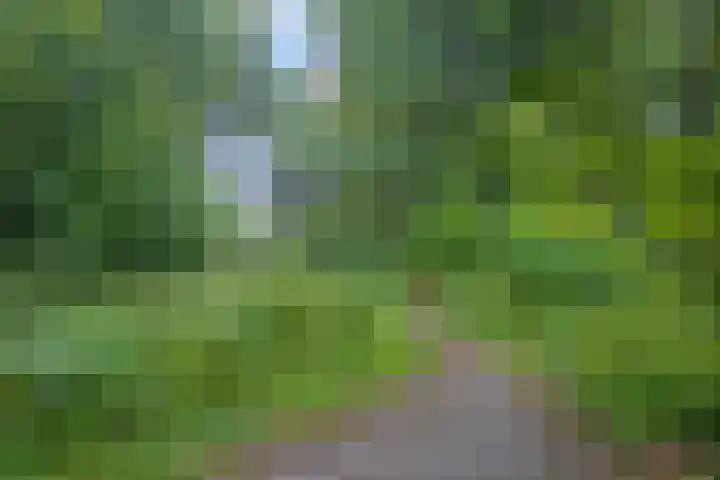 Crosestein 2023 Zeist thumbnail 22