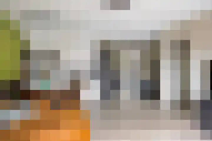 Crosestein 2023 Zeist thumbnail 4