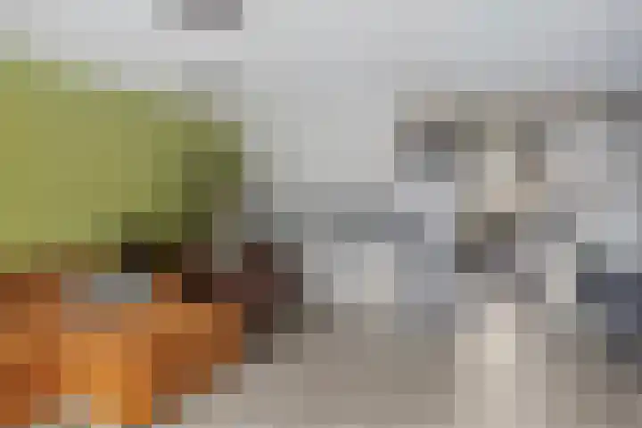 Crosestein 2023 Zeist thumbnail 5