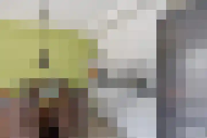 Crosestein 2023 Zeist thumbnail 6