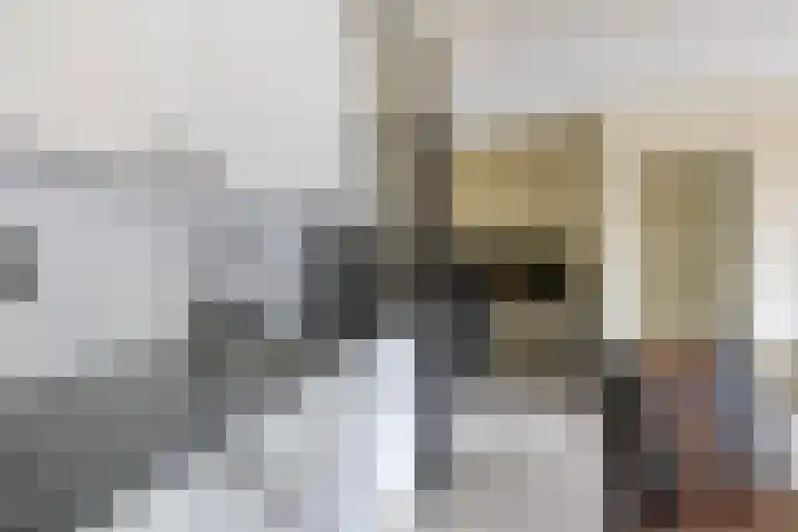 Crosestein 2023 Zeist thumbnail 7