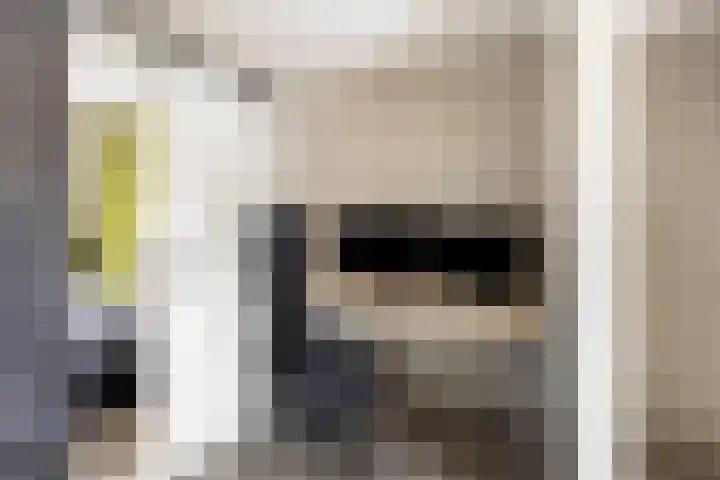 Crosestein 2023 Zeist thumbnail 8