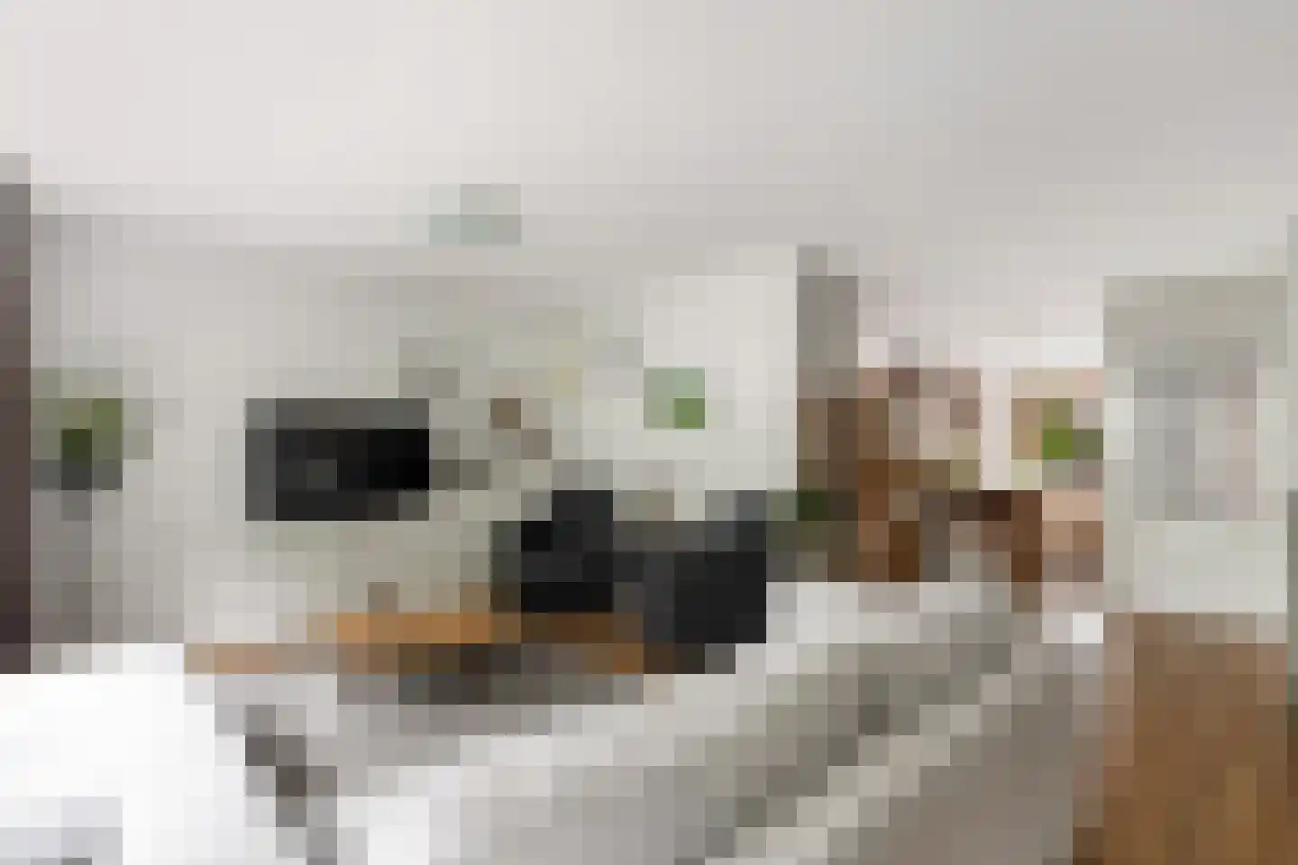 Crosestein 2028 Zeist thumbnail 10