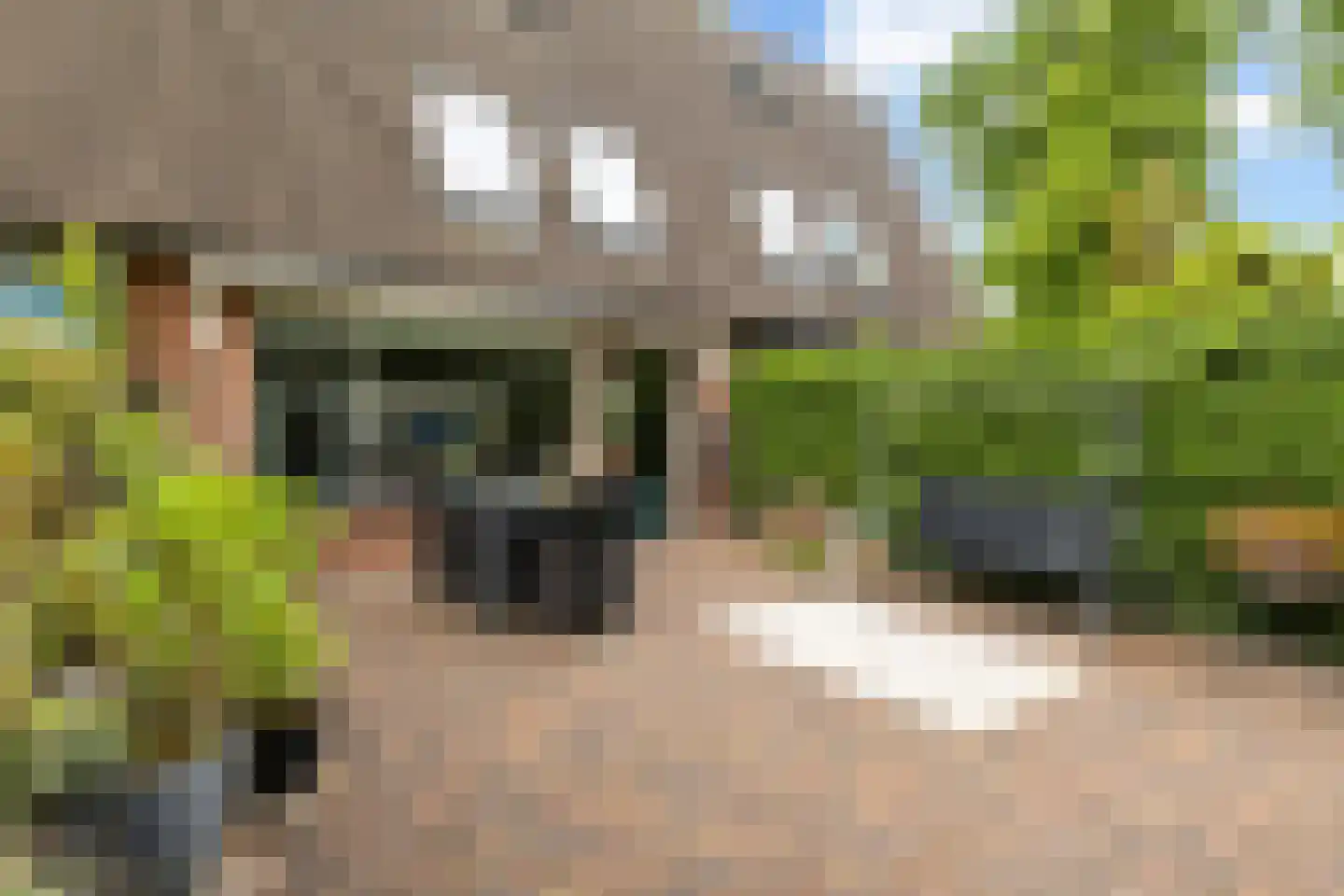 Crosestein 2028 Zeist thumbnail 18