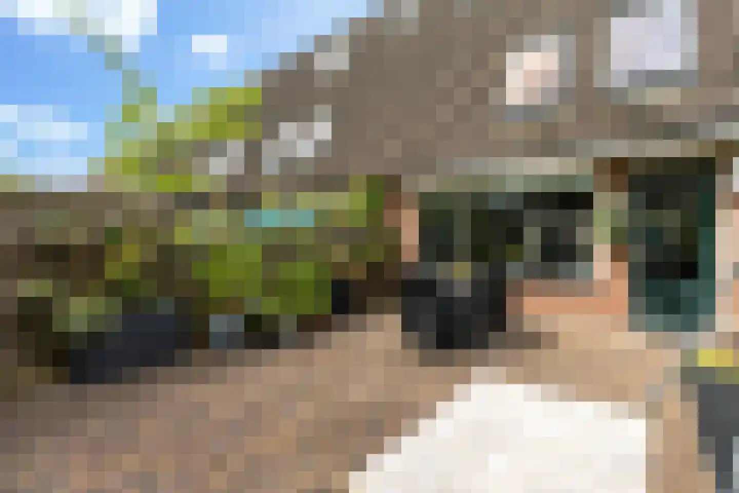 Crosestein 2028 Zeist thumbnail 19