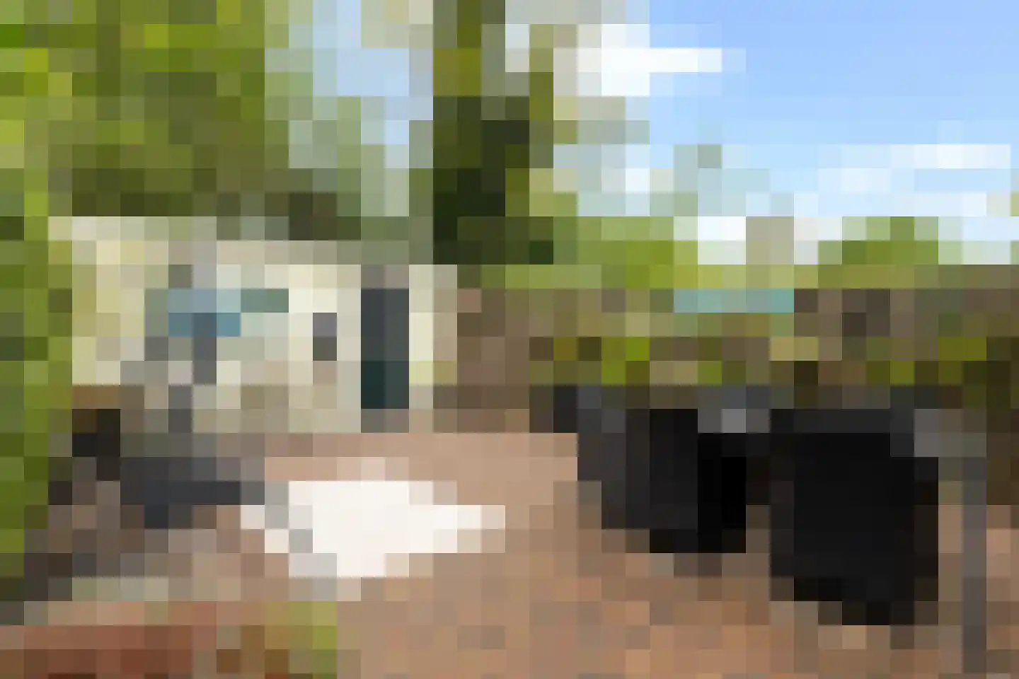 Crosestein 2028 Zeist thumbnail 20