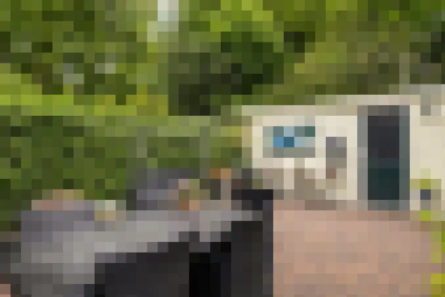 Crosestein 2028 Zeist thumbnail 21