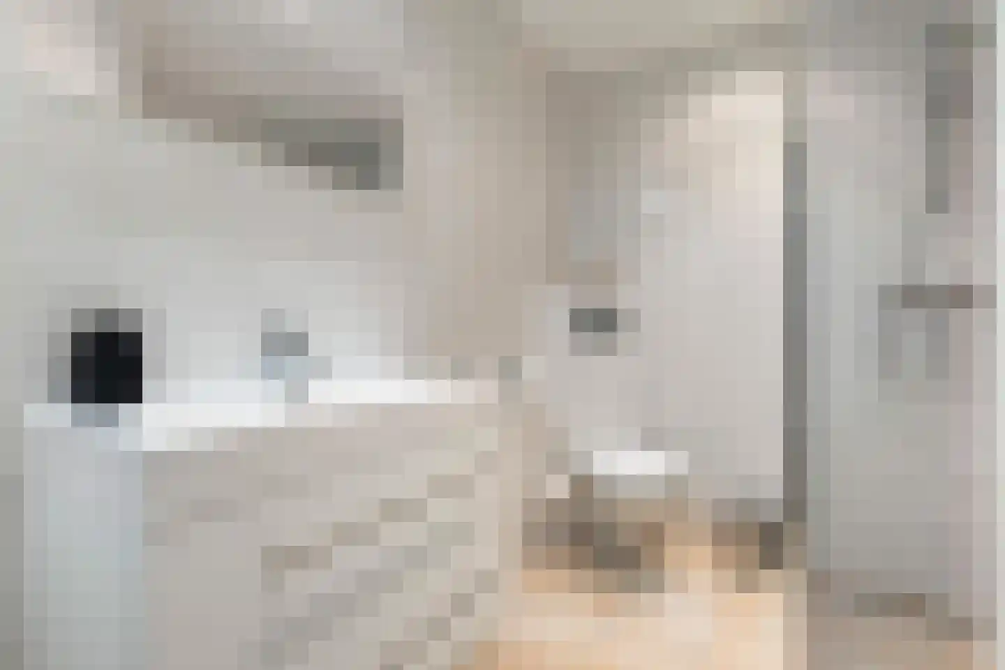 Crosestein 2028 Zeist thumbnail 25