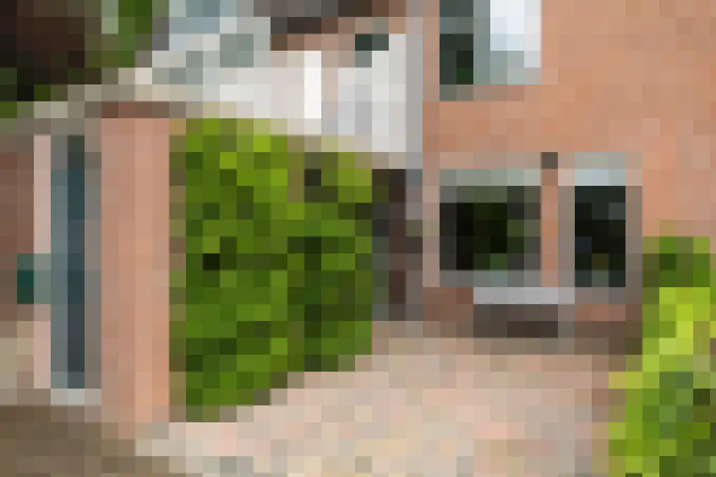 Crosestein 2028 Zeist foto 3
