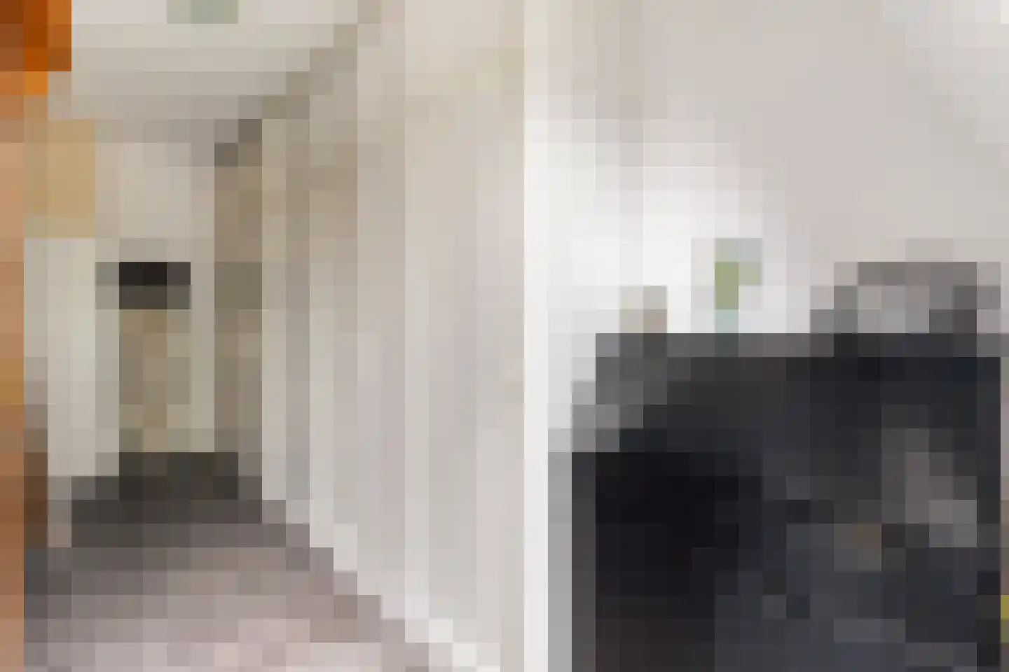 Crosestein 2028 Zeist thumbnail 30