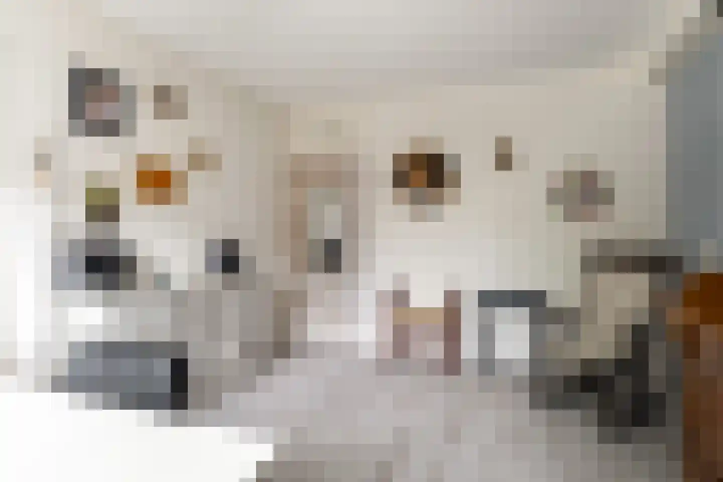 Crosestein 2028 Zeist thumbnail 31