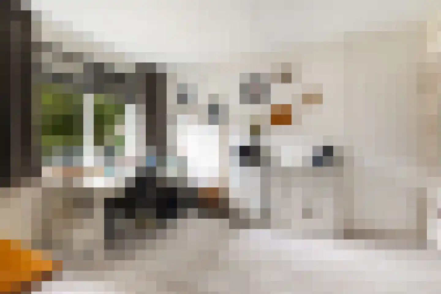 Crosestein 2028 Zeist thumbnail 32