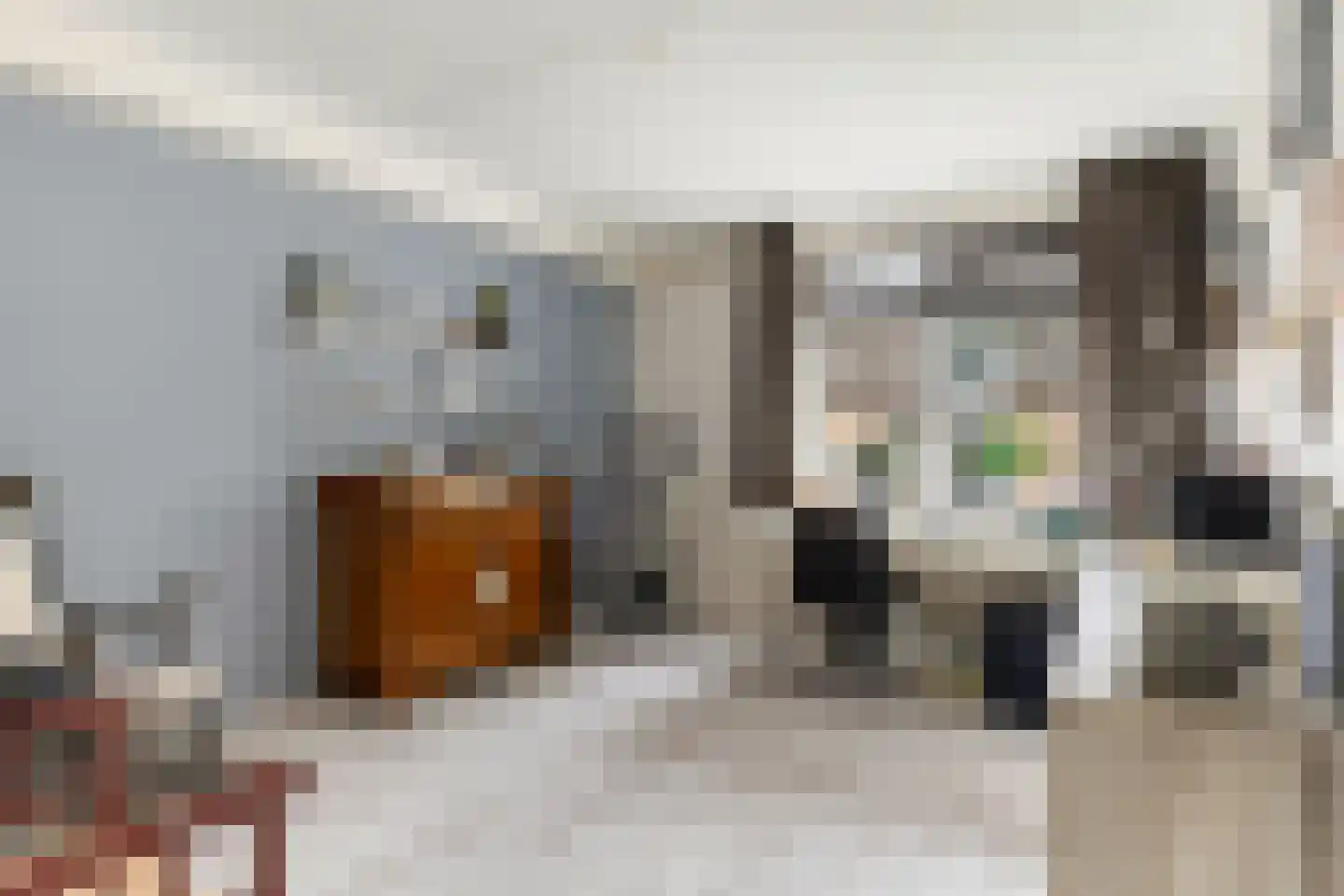 Crosestein 2028 Zeist thumbnail 33