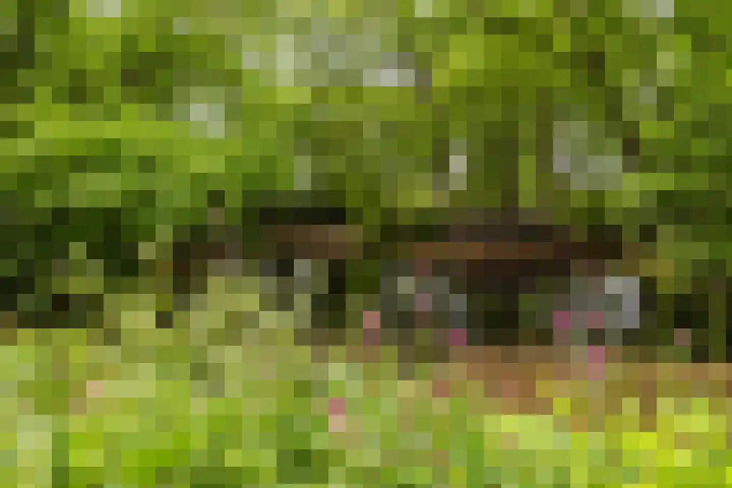 Crosestein 2028 Zeist thumbnail 34